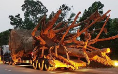 Bộ GTVT báo cáo Chính phủ vụ 4 cây "khủng"