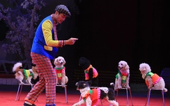 “Vỡ trận” vì đoàn xiếc lừa đảo: Nhà thiếu nhi Bình Thuận xin lỗi