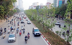 Cần đánh giá tác động giao thông các dự án cao ốc, đô thị