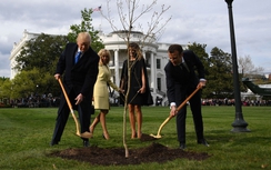 Video: Tổng thống Mỹ, Pháp trồng cây bằng xẻng vàng