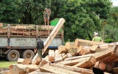 Hé lộ chiếc ô tô nhóm 40 lâm tặc cướp tang vật phá rừng