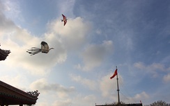 Chùm ảnh: Những cánh diều khoe sắc trên bầu trời Cố đô Huế
