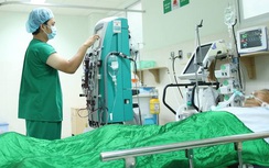 Người đàn ông bị ong đốt 250 mũi đến mê sảng