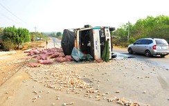 Làm rõ vụ lật xe tải khiến 3 người chết ở Gia Lai