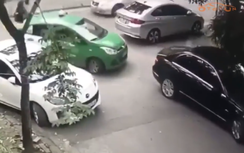 Bị "choảng" gạch, điều gì khiến tài xế Mai Linh rút đơn, hoà giải?