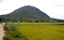 Chăn dê ngoài đồng, hai ông cháu bị sét đánh tử vong