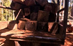 Chở gỗ bằng xe máy, nam thanh niên bị gỗ đè tử vong