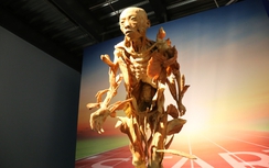 Tạm dừng triển lãm "Sự bí ẩn đặc biệt của cơ thể người"