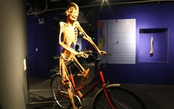 Vì sao dừng triển lãm cơ thể người tại TP.HCM?