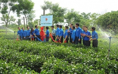 Ra mắt 10 đội hình trí thức trẻ để tái cơ cấu nông nghiệp