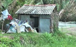 Nghi án người đàn ông tâm thần giết người bỏ vào lu cám