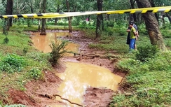 Tá hỏa phát hiện người đàn ông chết cháy trong rừng cao su