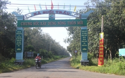 Giải thể xã Suối Trầu để xây dựng sân bay Long Thành