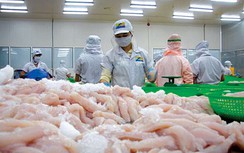 Ngã ngửa với báo cáo tài chính lỗ thành lãi