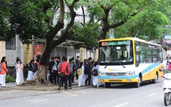 Đà Nẵng thu hồi nhiều khu đất để xây dựng trạm dừng xe buýt