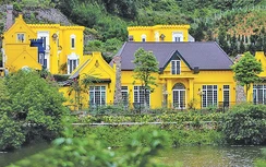 Biệt phủ mọc trên đất rừng phòng hộ: Sai phạm nối tiếp sai phạm