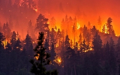 Cháy rừng khủng khiếp ở California, ít nhất 25 người chết