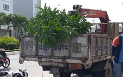 Xe máy lao vào gầm xe tải cẩu, nam thanh niên trọng thương