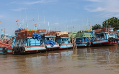 Bến Tre nghiêm cấm tàu tuyền ra khơi, học sinh các cấp nghỉ học