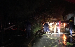 Bão số 9 quét hàng loạt cây xanh, trụ điện tại Cần Giờ