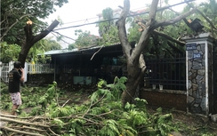 Cần Giờ ngổn ngang trụ điện, cây đổ sau bão số 9