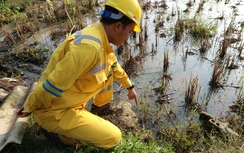 Hiện trường sự cố tràn hơn 4.000 lít dầu vào khu dân cư