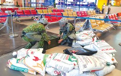 Khi khủng bố sân bay không còn là nguy cơ