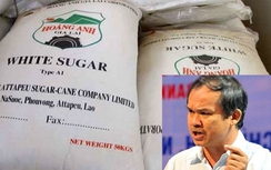 Thủ tướng cho phép bầu Đức đưa 50.000 tấn đường về Việt Nam