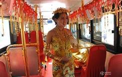 Choáng váng xem xe buýt và thiếu nữ dát vàng