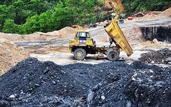 Xử nghiêm nhóm khai thác than "thổ phỉ" tại Hạ Long