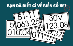 Biển số xe tại Việt Nam: Những điều cần biết