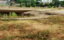 Hai vợ chồng chết không toàn thây khi bị mìn nổ