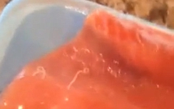 Giun kí sinh bò trong miếng phi lê cá hồi