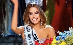 Hoa hậu Colombia đính chính tin đồn uống thuốc tự tử