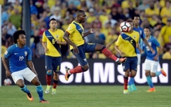 Ecuador vs Peru: Dự đoán kết quả tỷ số, tỷ lệ kèo