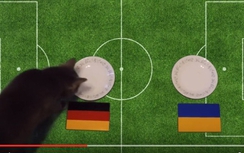 Đức –Ukraine: Chú mèo Cass dự đoán ĐT Đức thắng