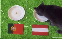 Mèo Cass dự đoán kết quả trận Bồ Đào Nha – Áo