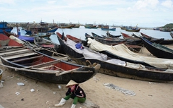 Hà Tĩnh lập hội đồng đánh giá thiệt hại do Formosa xả thải