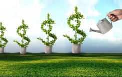 Tử vi ngày 9/8: Ma Kết gặp khó, Bọ Cạp lợi tình duyên