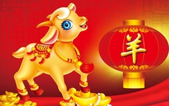 Dự đoán vận mệnh người tuổi Mùi năm 2017