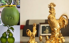 Mua quà gì độc lạ chơi Tết Đinh Dậu 2017?