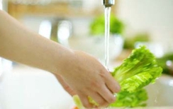 Ấu trùng trong rau sống nguy hiểm không kém tiết canh bẩn