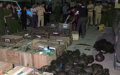 Nổ súng, truy đuổi xe chở nửa tấn tê tê như phim hành động