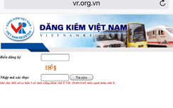Treo cả hệ thống vì ùn ùn tra cứu phạt nguội