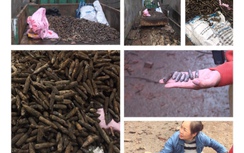 Rùng mình đầu đạn vương vãi khắp nơi trong vụ nổ ở Bắc Ninh