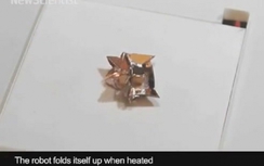 Clip: Cận cảnh robot mini có khả năng chui vào cơ thể người