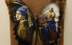 Clip: Độc đáo tranh vẽ trên... cánh bướm