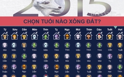 Bảng hướng dẫn chọn tuổi xông đất năm Ất Mùi