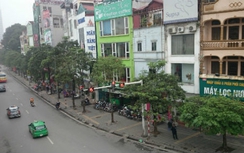 Thư ngỏ về việc đốn hạ 6.700 cây xanh chưa nhận được phản hồi