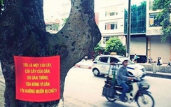 Ai cứu 6.700 cây xanh Hà Nội?